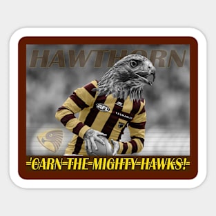 OG AFL - Hawthorn Hawks Sticker